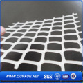 Hot Sale White Color Chicken Mesh \ Plastic Flat Netting